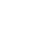 Zonder kunstmatige toevoegingen