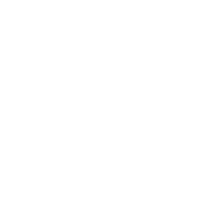 100%  Plantaardig  & Vegan